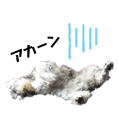 [LINEスタンプ] ときどき関西弁で一言