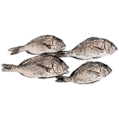[LINEスタンプ] 鯛 魚 デジタル 数字
