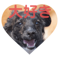 [LINEスタンプ] Dのつぶやき2