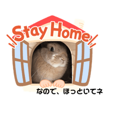 [LINEスタンプ] ららちゃん日和