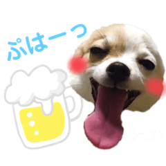 [LINEスタンプ] チワワとフレブルの関西弁