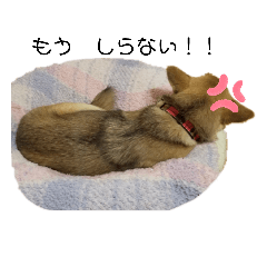 [LINEスタンプ] なっちゃんの独り言スタンプ