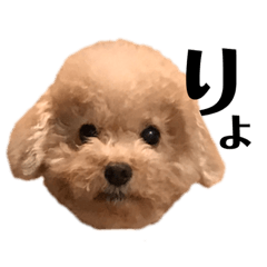 [LINEスタンプ] むくむくのむくくん