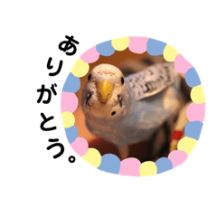 [LINEスタンプ] piross