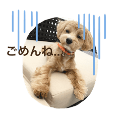 [LINEスタンプ] マルプーのBell♪