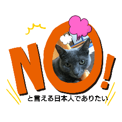 [LINEスタンプ] 猫で意思表示ニャ