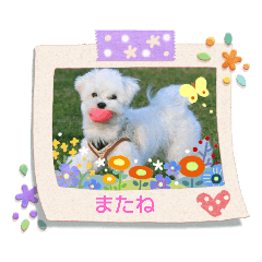 [LINEスタンプ] うずあずNo.4