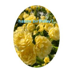 [LINEスタンプ] お花 お祝い スタンプ
