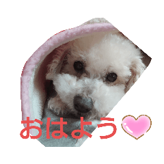 [LINEスタンプ] りく・そら・もこスタンプ