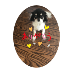 [LINEスタンプ] ベル研究所②