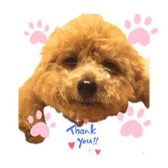 [LINEスタンプ] cocopanaya