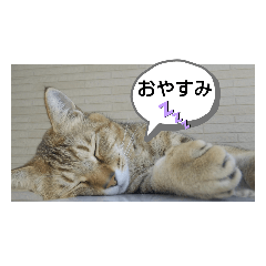 [LINEスタンプ] 幸福の日常