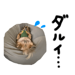 [LINEスタンプ] てりちゅけスタンプ