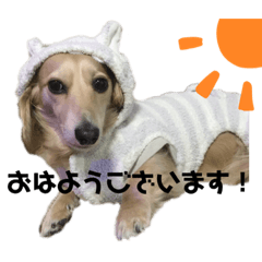 [LINEスタンプ] むぎちゃんスタンプE