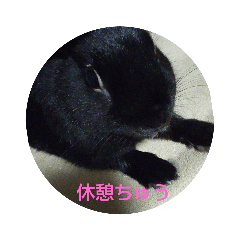 [LINEスタンプ] うさぎな1日
