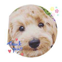 [LINEスタンプ] jts_ran