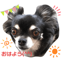 [LINEスタンプ] アンナのごあいさつ❣️