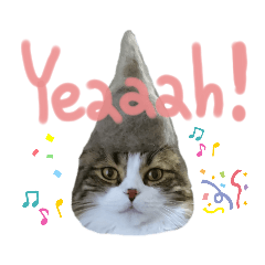 [LINEスタンプ] たけだけのココ