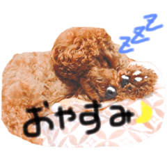 [LINEスタンプ] まりんのすたんぷ！
