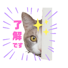 [LINEスタンプ] ミケにゃんこスタンプ2