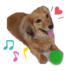 [LINEスタンプ] ミニチュアダックスのベル