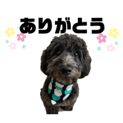 [LINEスタンプ] REOだよ