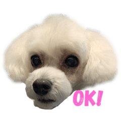 [LINEスタンプ] はなろんスタンプ