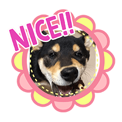 [LINEスタンプ] オリバスタンプ①