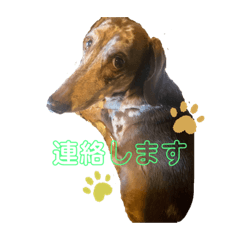 [LINEスタンプ] るびさふぁスタンプbyてぃあらママ3