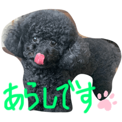 [LINEスタンプ] あらしくんの日常