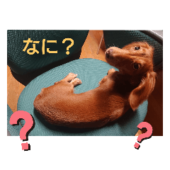 [LINEスタンプ] チェリー(  ´꒳`  )vol.2