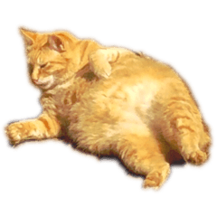 [LINEスタンプ] 寄せ集めスタンプ3