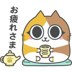 [LINEスタンプ] 動く！ぽちゃねこ♡MeowMeowArupaca