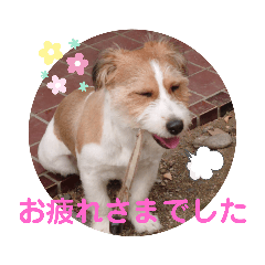 [LINEスタンプ] love☆ジャック3