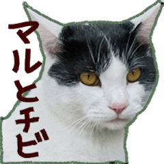 [LINEスタンプ] マルとチビ
