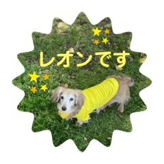 [LINEスタンプ] レオンのスタンプ！