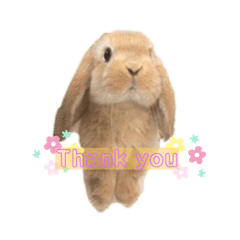 [LINEスタンプ] saboスタンプ