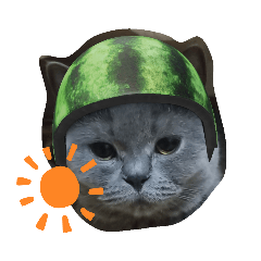 [LINEスタンプ] 猫の小麦ちゃん3❤️毎日使えるスタンプ