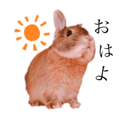 [LINEスタンプ] ネザーのまろさん