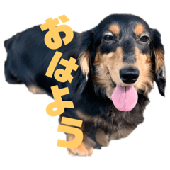 [LINEスタンプ] ゴン太べる