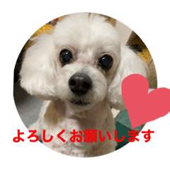 [LINEスタンプ] はなろんスタンプ2