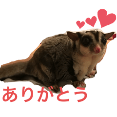 [LINEスタンプ] ももたろうの1日