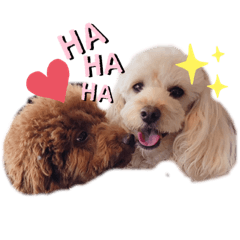 [LINEスタンプ] こむたん's