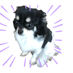 [LINEスタンプ] ベル研究所
