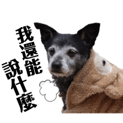 [LINEスタンプ] 黒子ちゃんの自由な犬人生！