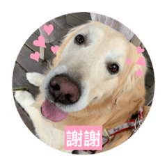 [LINEスタンプ] ヒーローだよ！