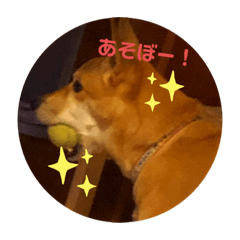 [LINEスタンプ] 今日も元気だ！Mydog