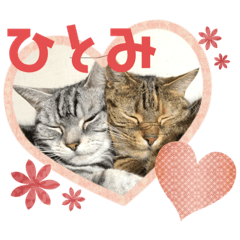 [LINEスタンプ] カーチャ大好き大好きカーチャ