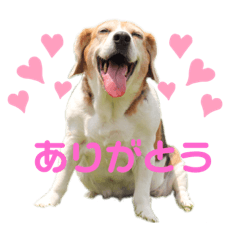 [LINEスタンプ] いち0929