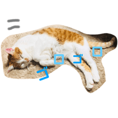 [LINEスタンプ] くろちゃんしょうたシリーズ